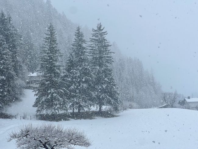 Sneeuw in Oostenrijk