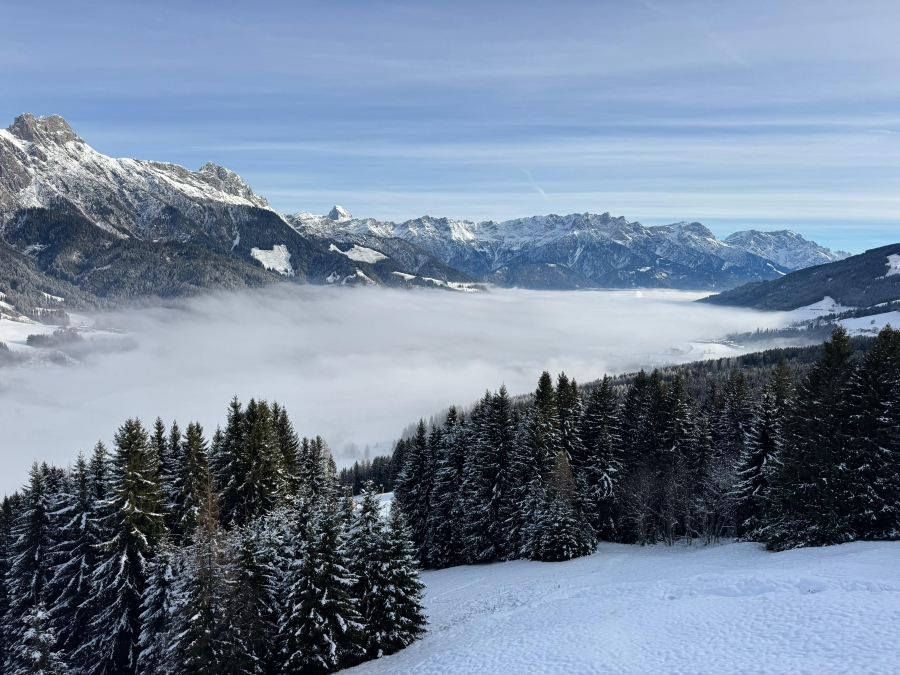 Bij Leogang vanuit de gondel.